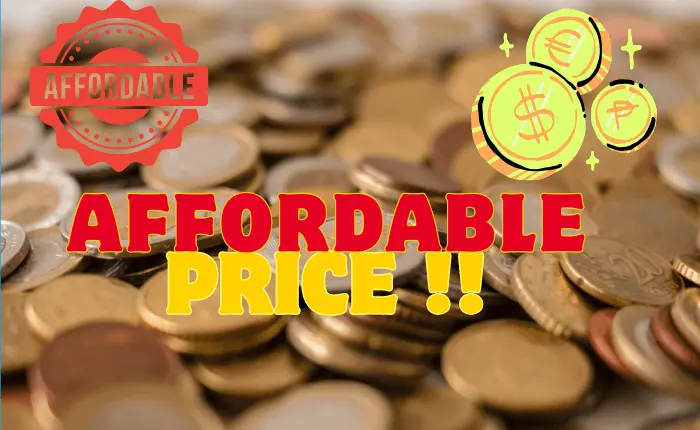 Promotional banner with 'Affordable Price' text over a background of coins, representing budget-friendly pricing for EEE AE and SAE job preparation courses in Bangladesh.